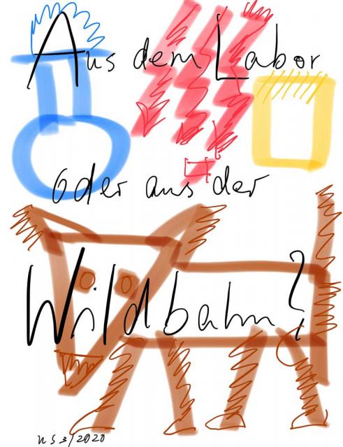 Virus aus Labor oder Wildbahn?