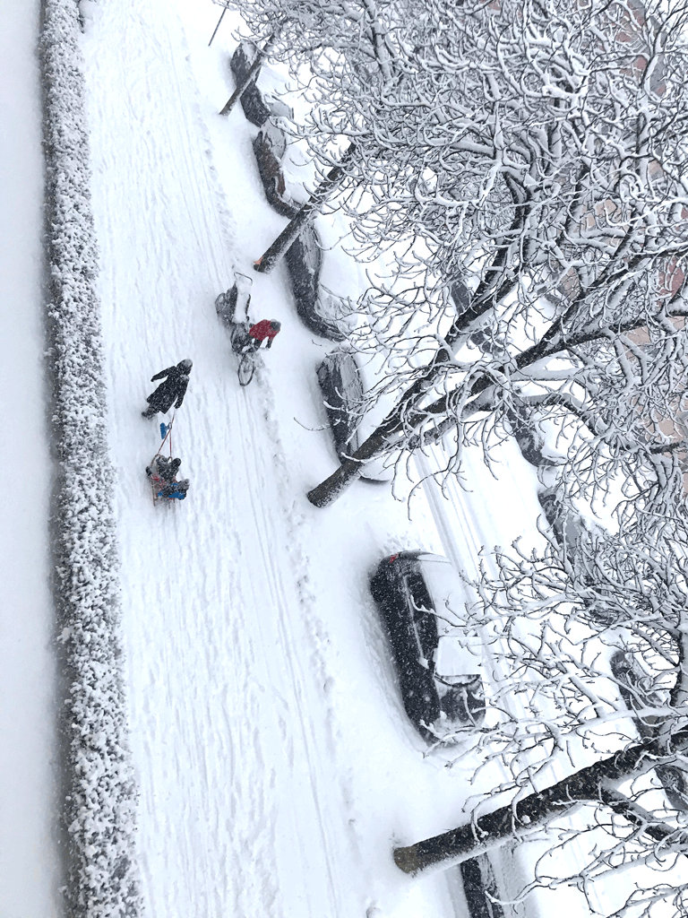 Winter 2021 was du meldest Jung und BLVG soll sterben