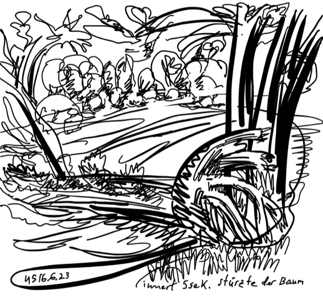 krachend stuerzt der Baum in die Vrbas