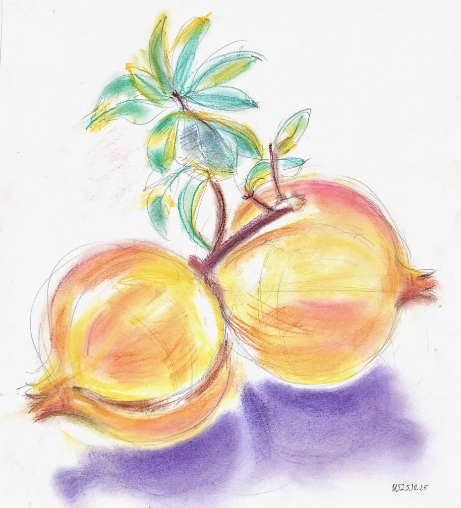 Roma Granatapfel