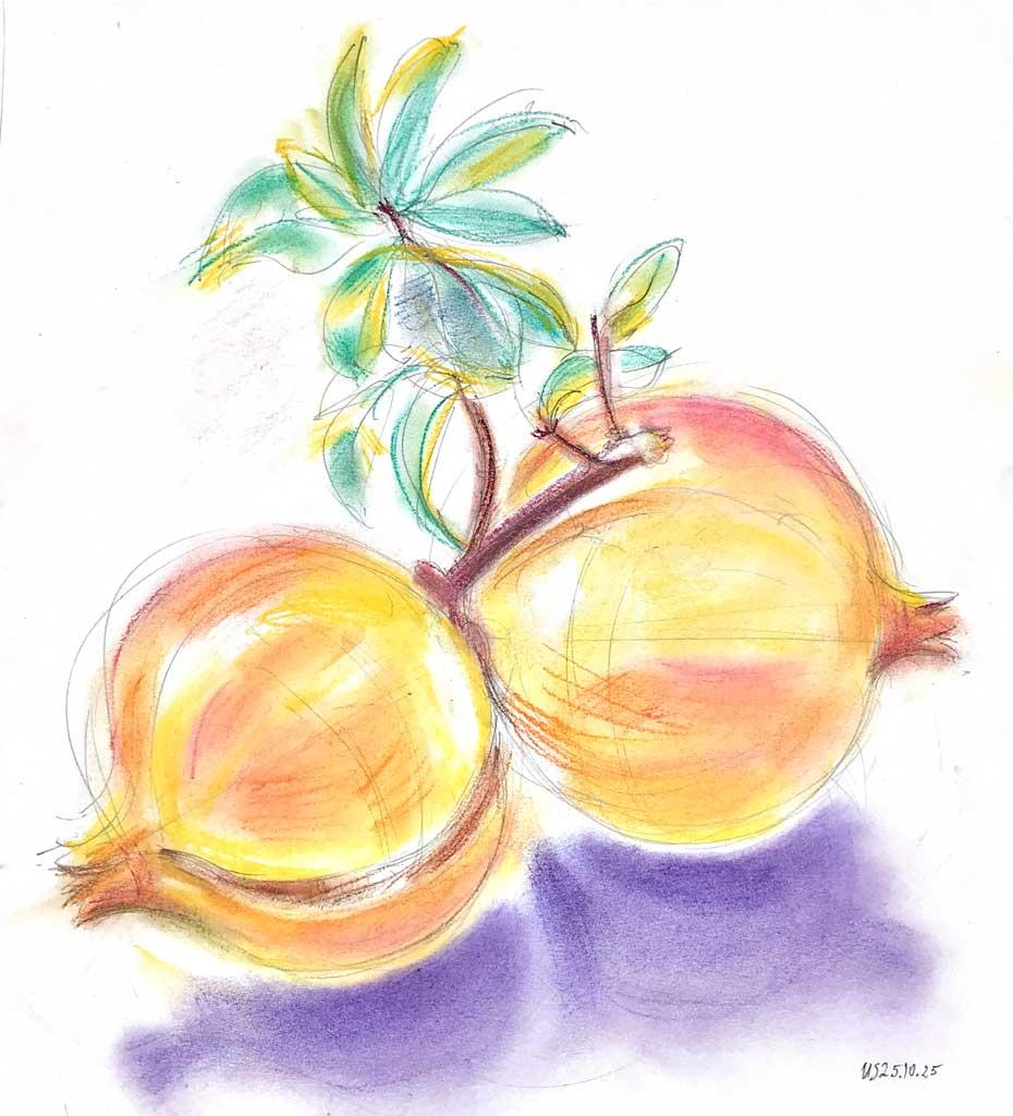 Maria‘s Roma Granatapfel