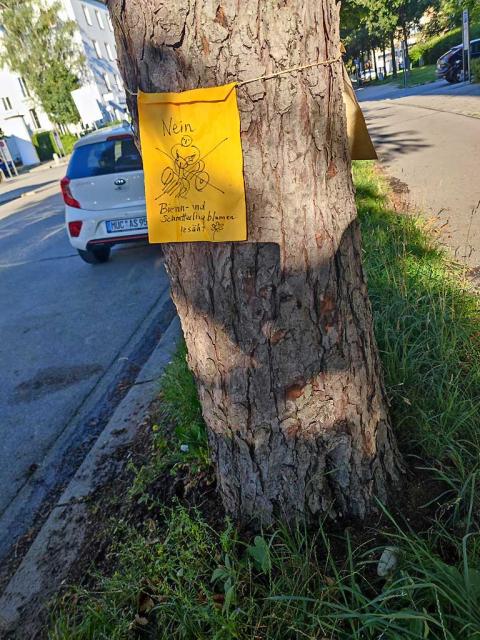 gelbes Schild nicht maehen Bienenblumen gesaet