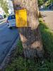 06gelbes_Schild_Joh_Clanze84_1024
