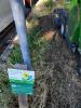 03Giessen_Joh_Clanze84_1024