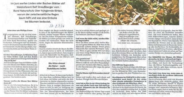 lange Trockenheit Blaetter ab Baum stirbt