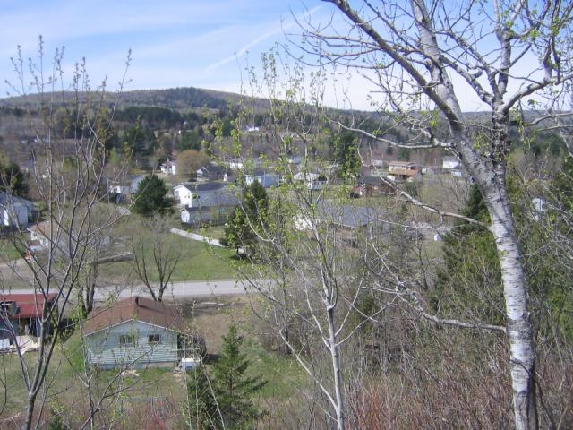 Tobique