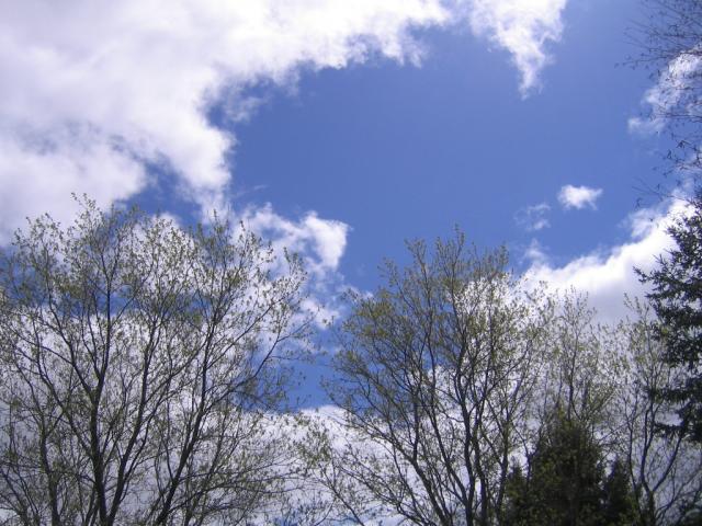 Tobique sky