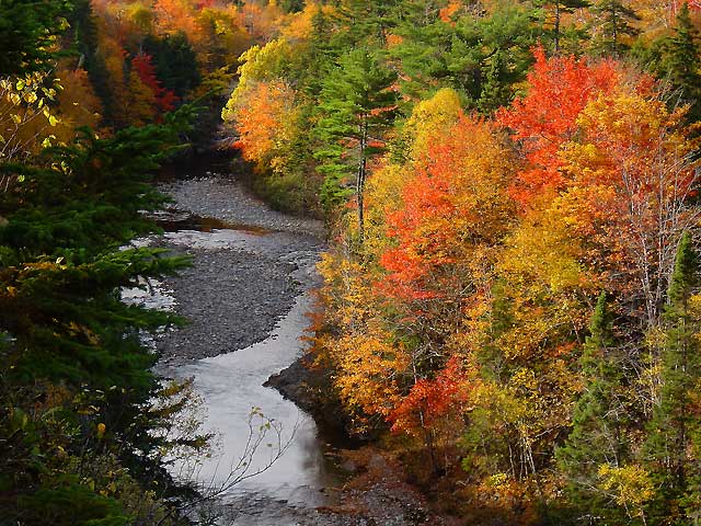 Indian brook