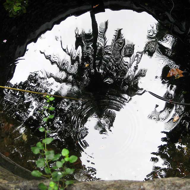 Blick in den Brunnen am Ramana Ashram