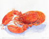 Cape Breton Lobster